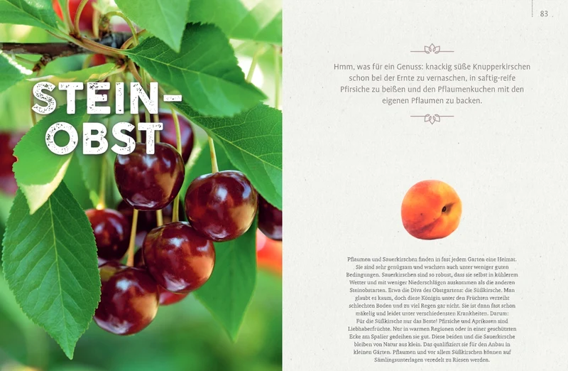 Obstgarten | Einfach machen