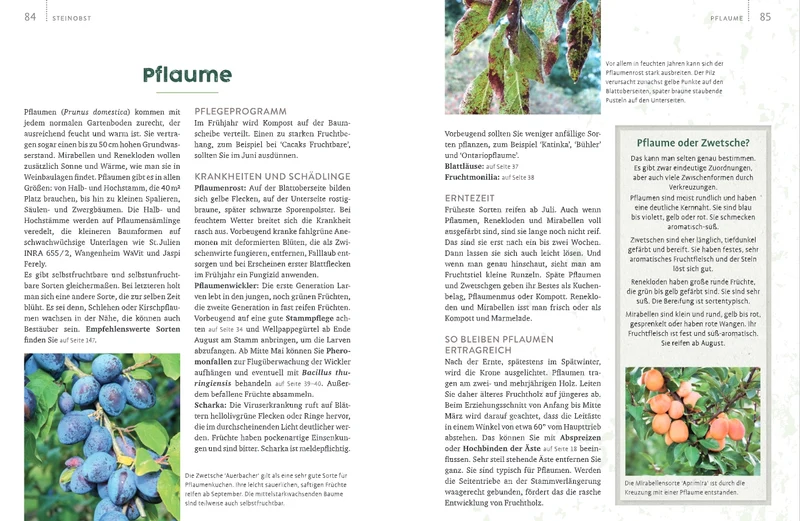 Obstgarten | Einfach machen