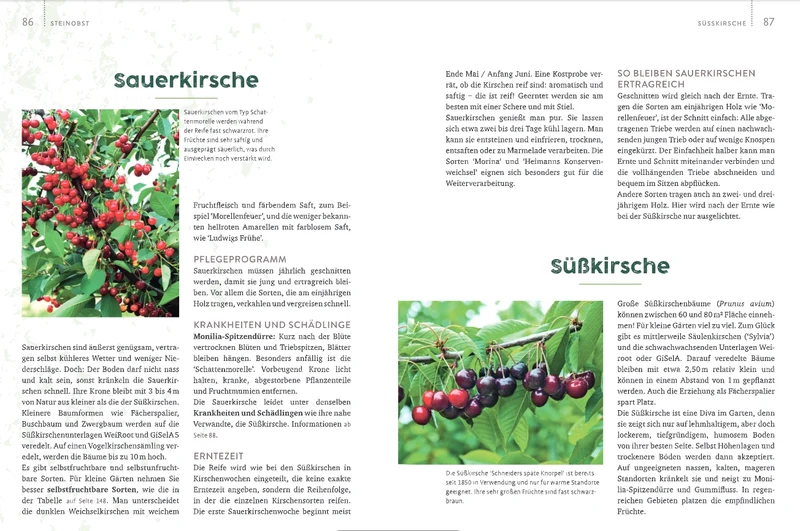 Obstgarten | Einfach machen