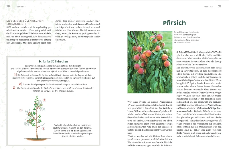 Obstgarten | Einfach machen