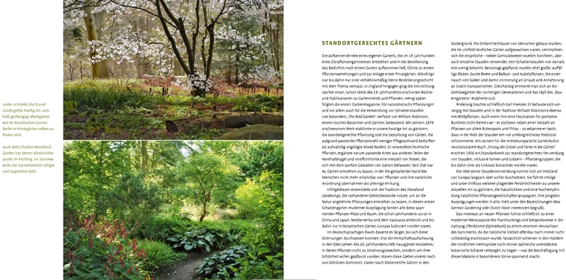 Schattenstauden | Die dunkle Seite Ihres Gartens