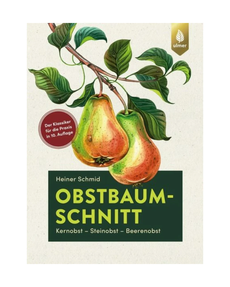 Obstbaumschnitt