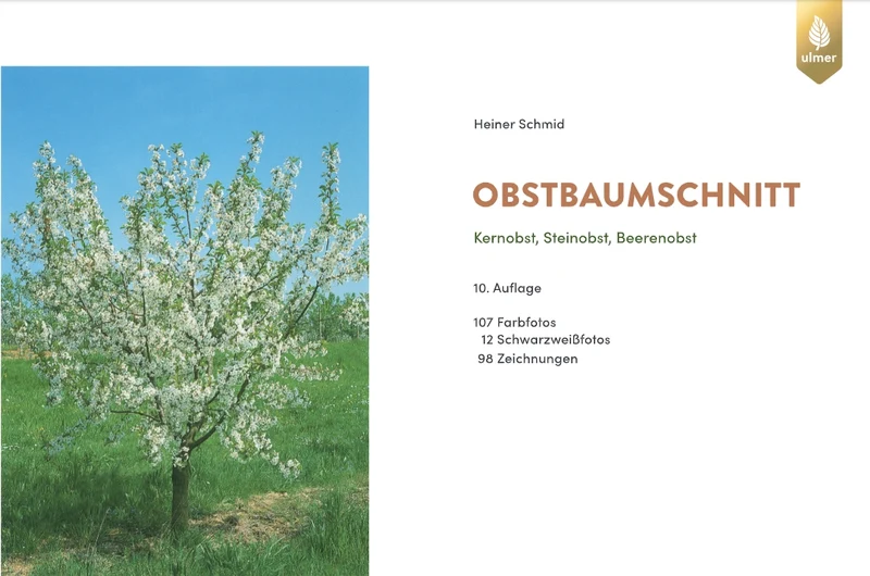 Obstbaumschnitt