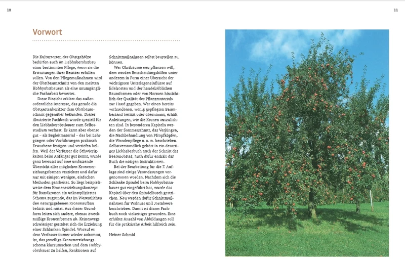 Obstbaumschnitt