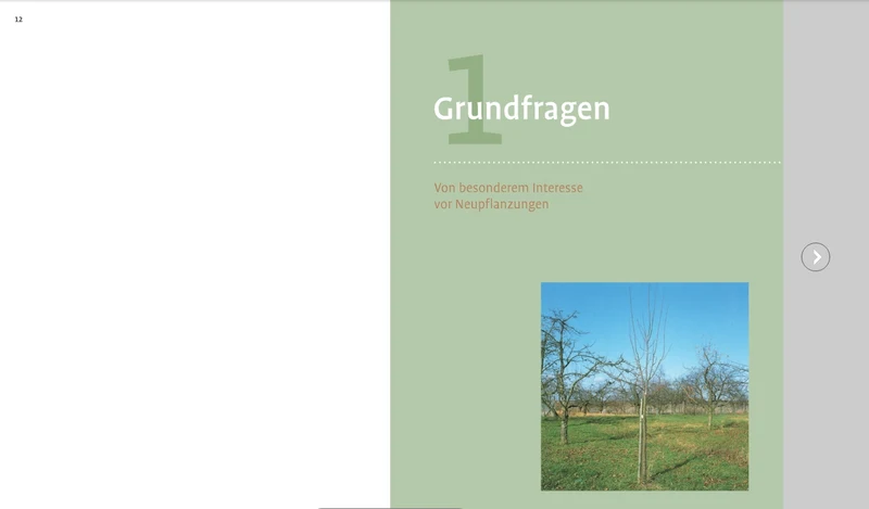 Obstbaumschnitt