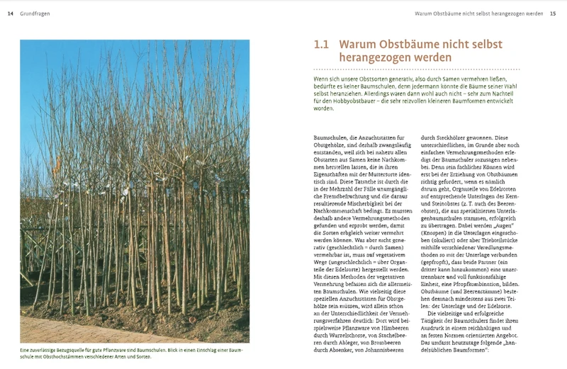 Obstbaumschnitt