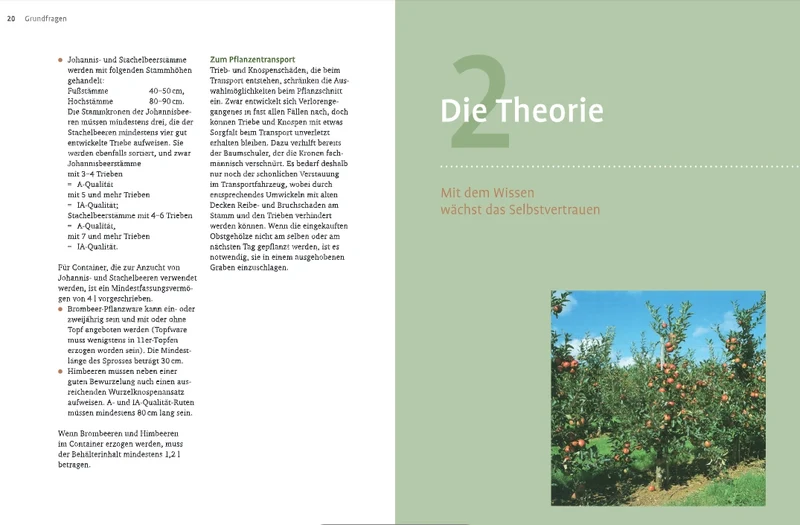 Obstbaumschnitt