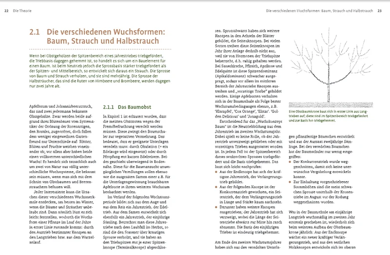 Obstbaumschnitt