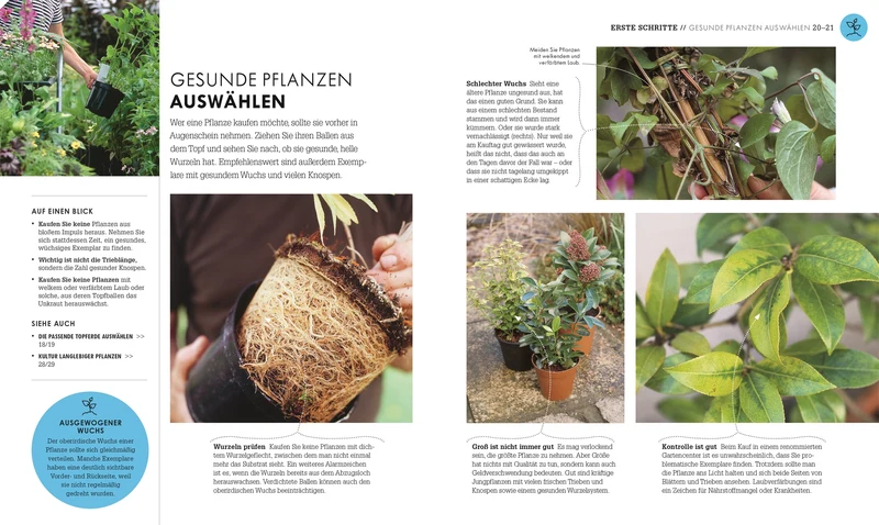 So geht Garten | Die Basics für Einsteiger