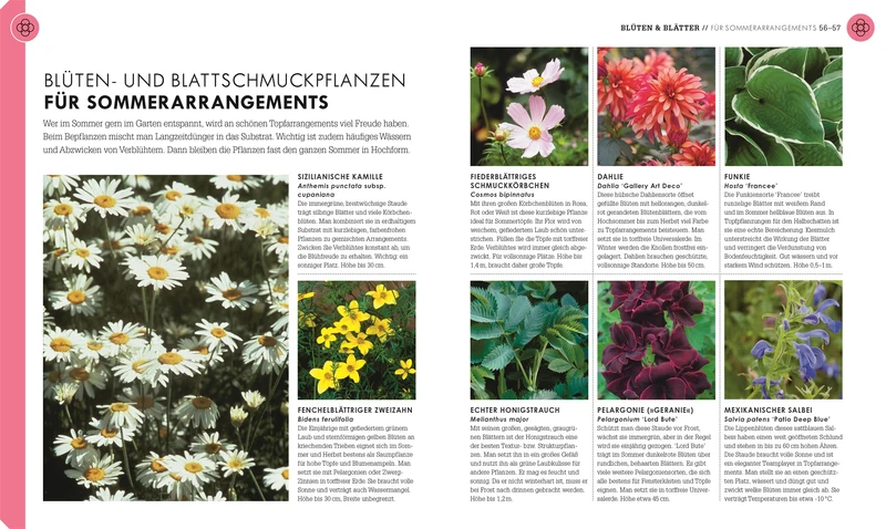 So geht Garten | Die Basics für Einsteiger