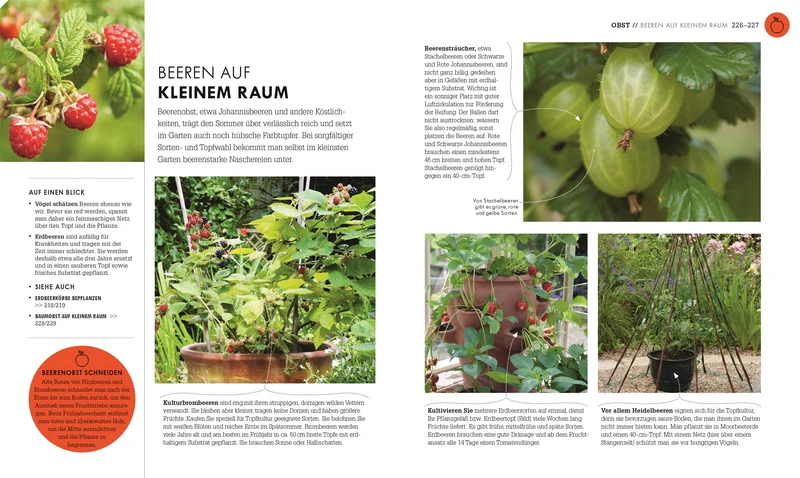 So geht Garten | Die Basics für Einsteiger