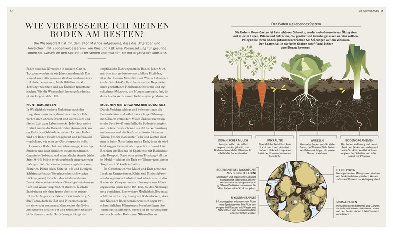 100 Fragen und Antworten zum Gärtnern | leicht verständlich beantwortet