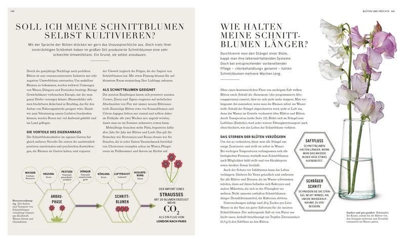 100 Fragen und Antworten zum Gärtnern | leicht verständlich beantwortet