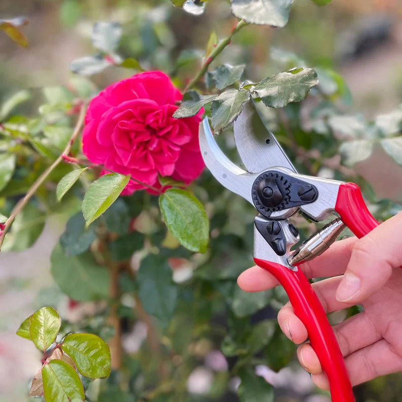 Felco 2 Einhand-Baum-,Reb-,Gartenschere, 25mm, Größe L