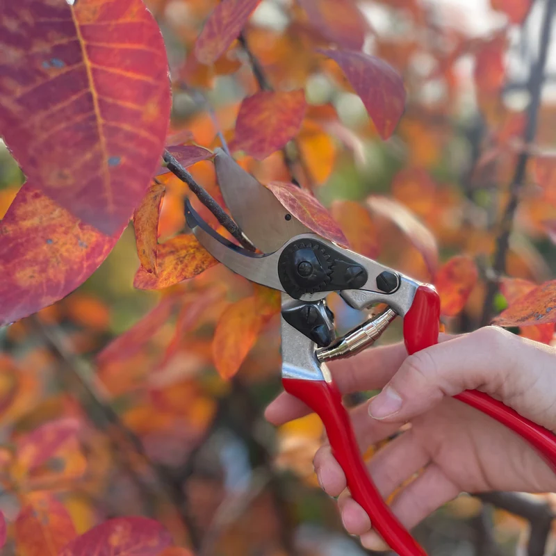 Felco 8, Größe L, 25mm/1in.