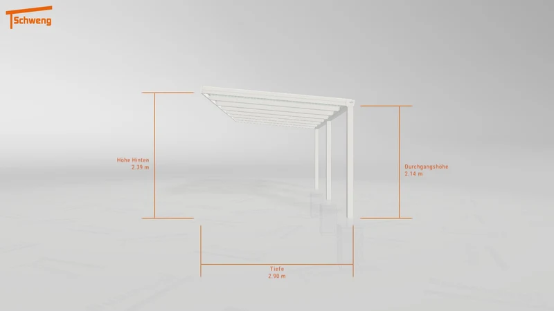 #DE Schweng Pultdachcarport S350 (ID n5mwm5) #MTG