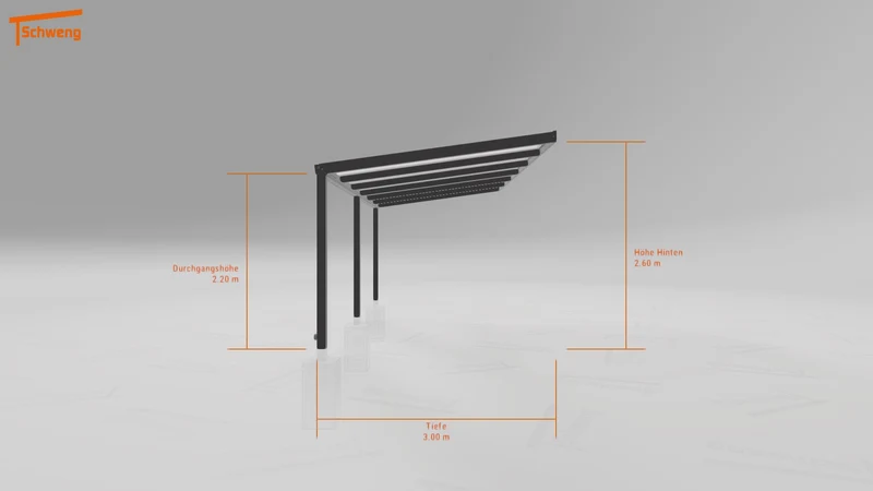 #DE Schweng Pultdachcarport S350 (ID rjrw3d) #MTG