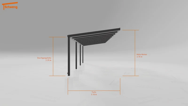 #DE Schweng Pultdachcarport S350 (ID 5mwy2r) #MTG