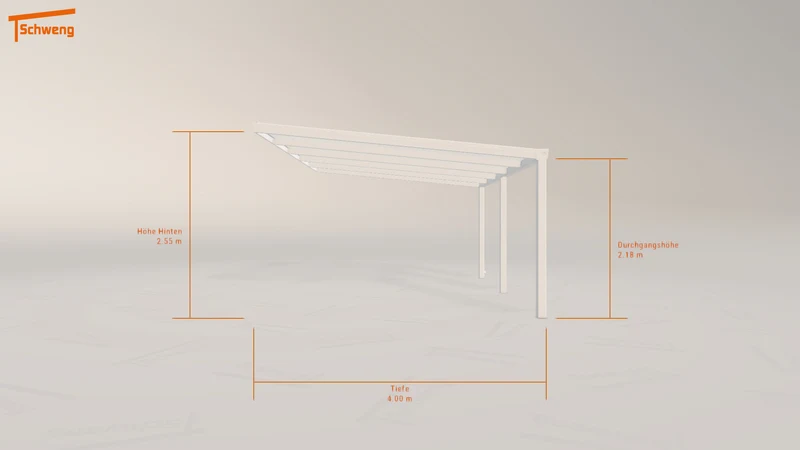 #DE Schweng Pultdachcarport S400 (ID jjnygy)