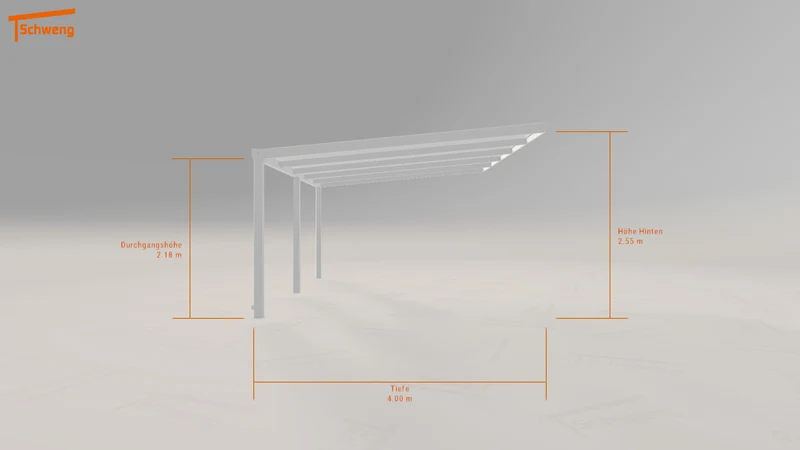 #DE Schweng Pultdachcarport S400 (ID jjnygy)