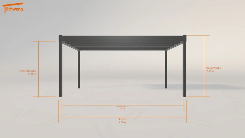 #DE Schweng Flachdachcarport C600 (ID k2g4bp) #MTG