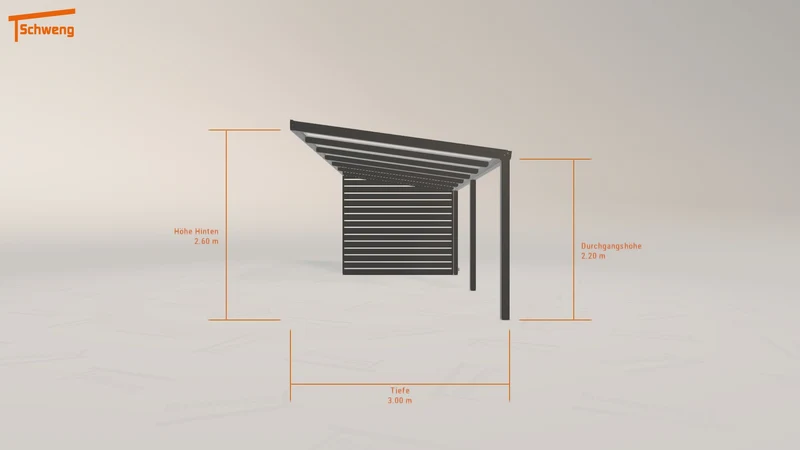 #DE Schweng Pultdachcarport S350 (ID jjndjy) #MTG