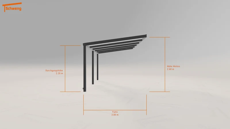 #DE Schweng Pultdachcarport S350 (ID yg8bz4) #MTG