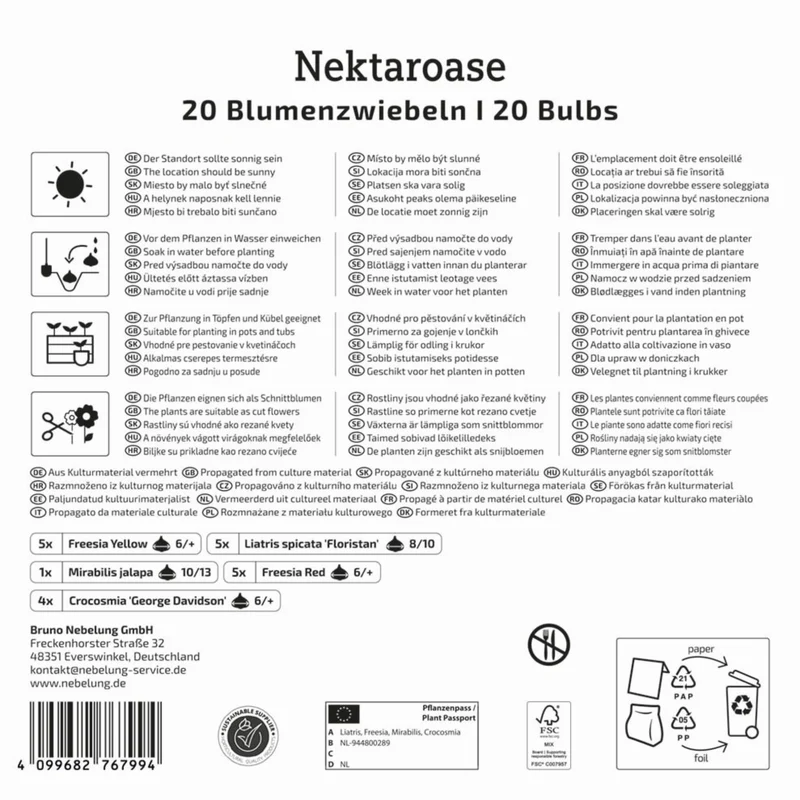 Kiepenkerl Blumenzwiebelmischung "Nektaroase", Mega-Pack