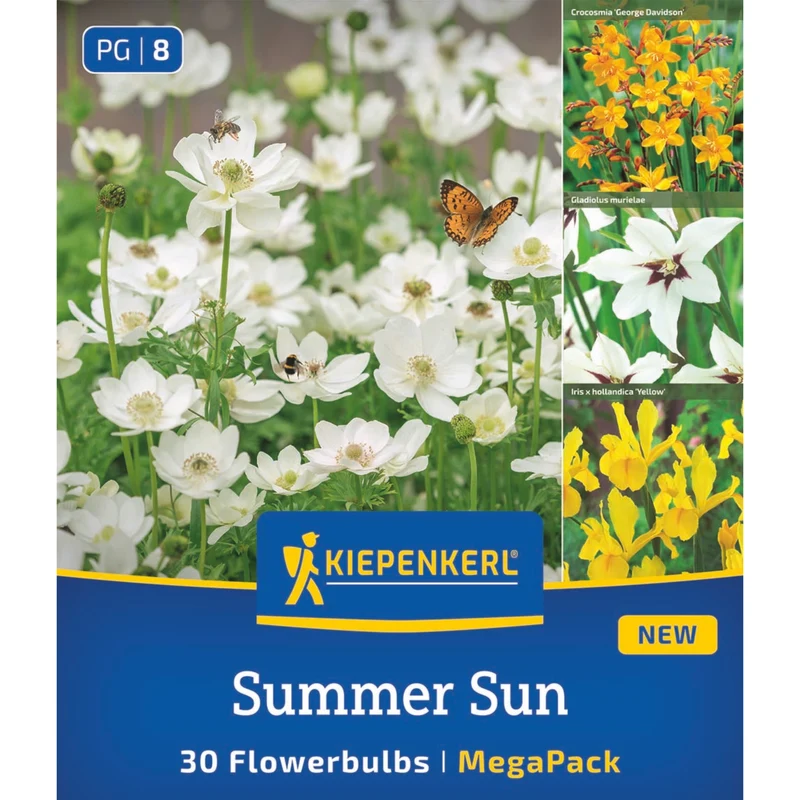 Kiepenkerl Blumenzwiebelmischung "Summer Sun", Mega-Pack