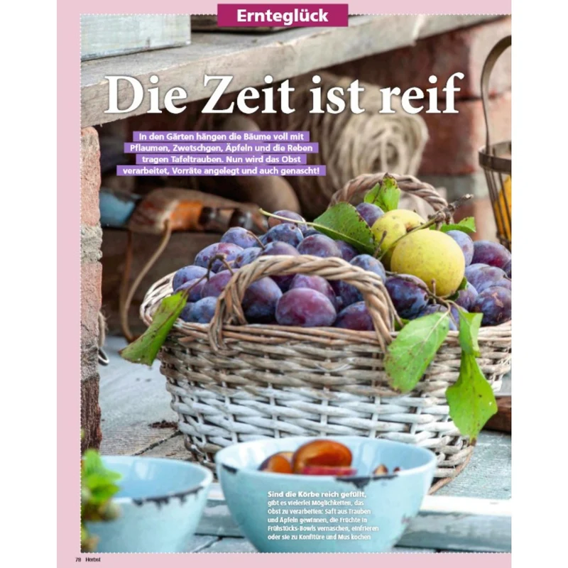 Zeitschrift Mein schöner Garten Spezial 'Herbstideen' 04/25
