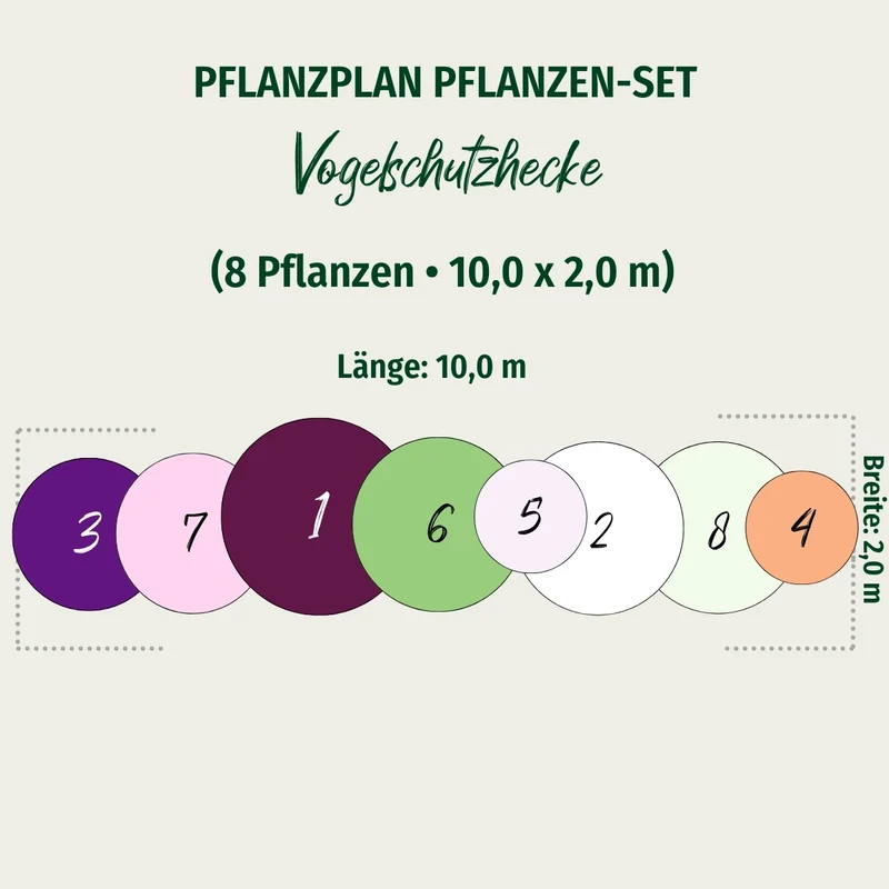 Pflanzen-Set "Vogelschutzhecke"