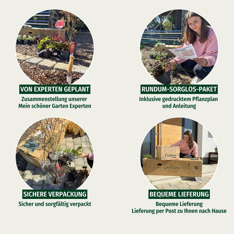 Pflanzen-Set “Vielfalt für halbschattige Gartenecken"