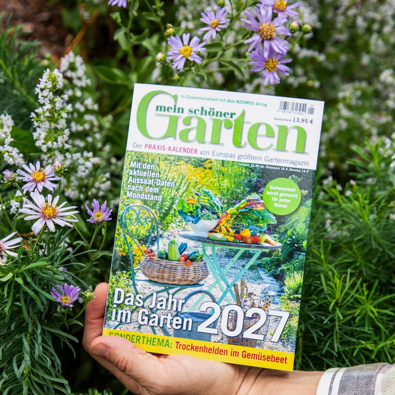Mein schöner Garten Praxis-Kalender 2027