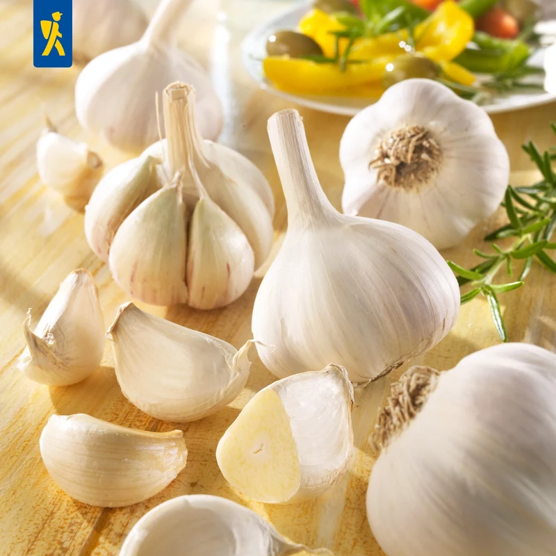Kiepenkerl Winterknoblauch 'Messidrome'