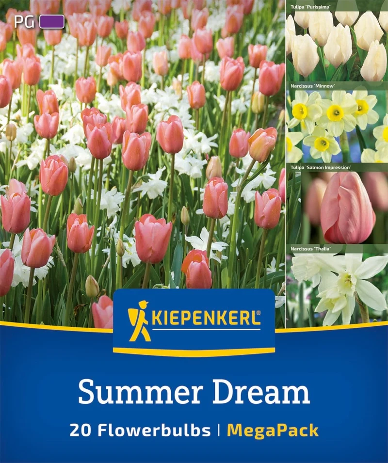 Kiepenkerl Blumenzwiebelmischung "Summer Dream", Mega-Pack