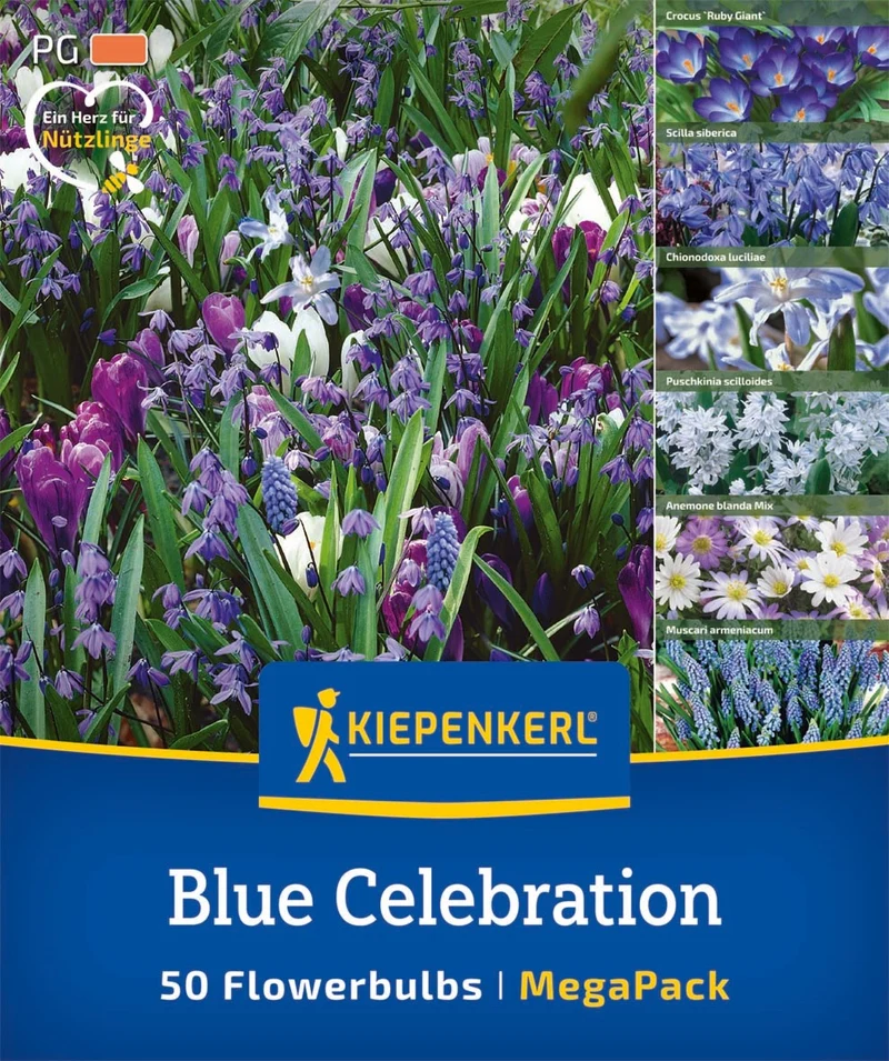 Kiepenkerl Blumenzwiebelmischung "Blue Celebration", Mega-Pack