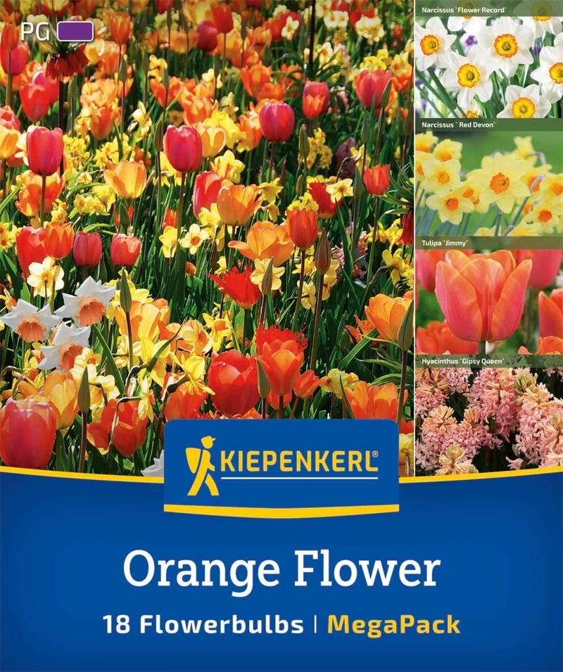 Kiepenkerl Blumenzwiebelmischung "Orange Flower", Mega-Pack