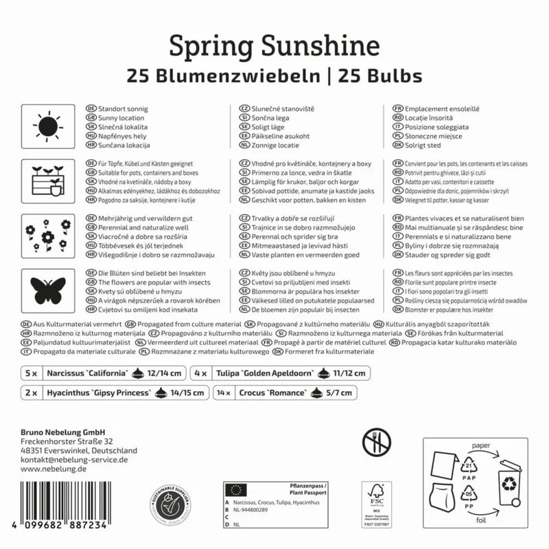 Kiepenkerl Blumenzwiebelmischung "Spring Sunshine", Mega-Pack