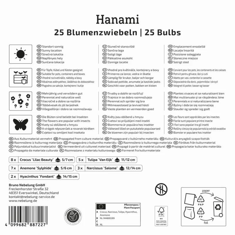 Kiepenkerl 'Hanami', Mega-Pack