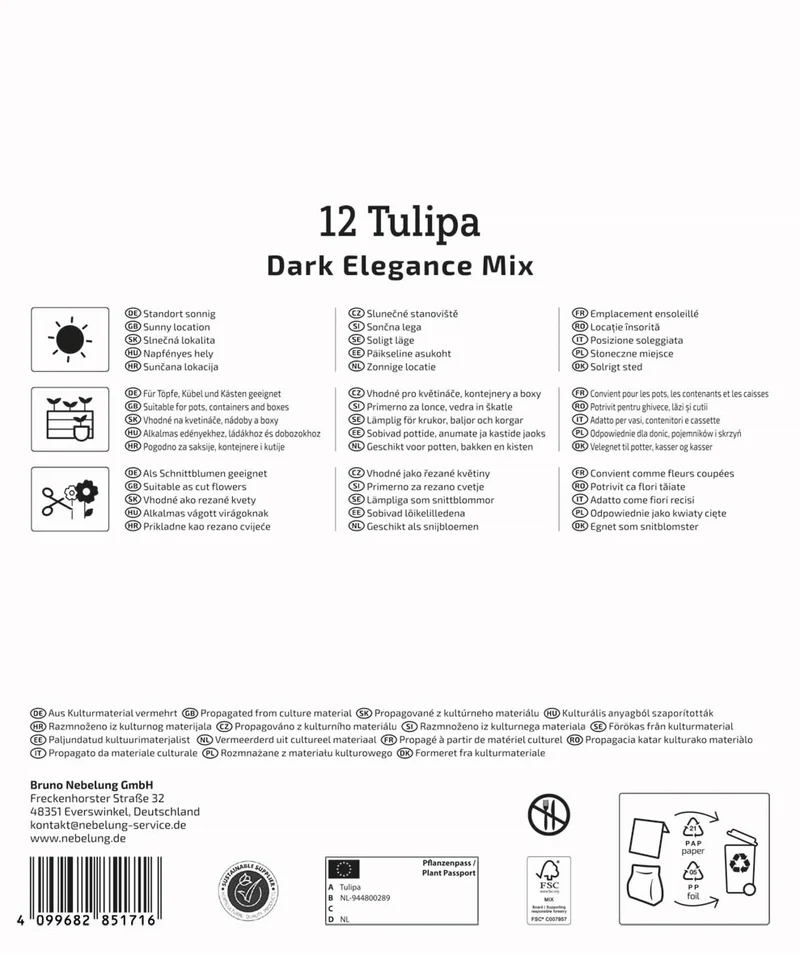 Kiepenkerl Tulpen 'Dark Elegance', Mega-Pack