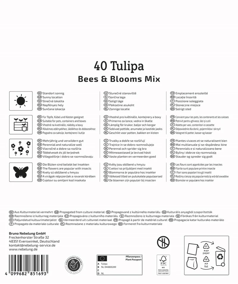 Kiepenkerl Blumenzwiebelmischung "Bees & Blooms", Mega-Pack