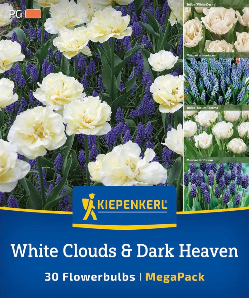 Kiepenkerl 'White Clouds & Dark Heaven', Mega-Pack