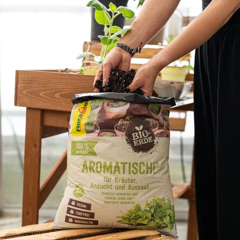 Floragard Bio Kräuter- und Anzuchterde Aromatisch, torffrei