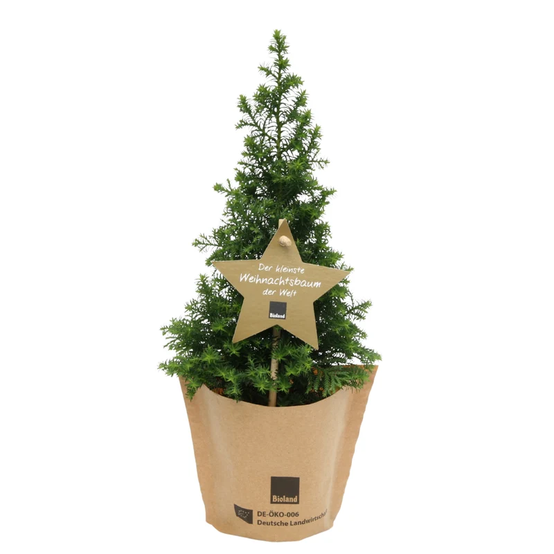 Bio Weihnachtsbäumchen