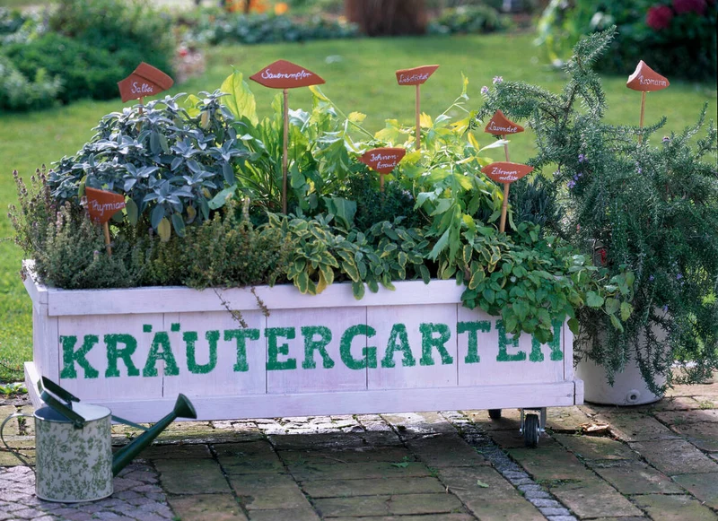 Gartenkräuter "Großer Kräutergarten"