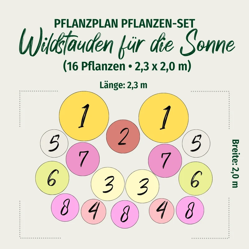 Staudenbeet "Wildstauden für die Sonne"