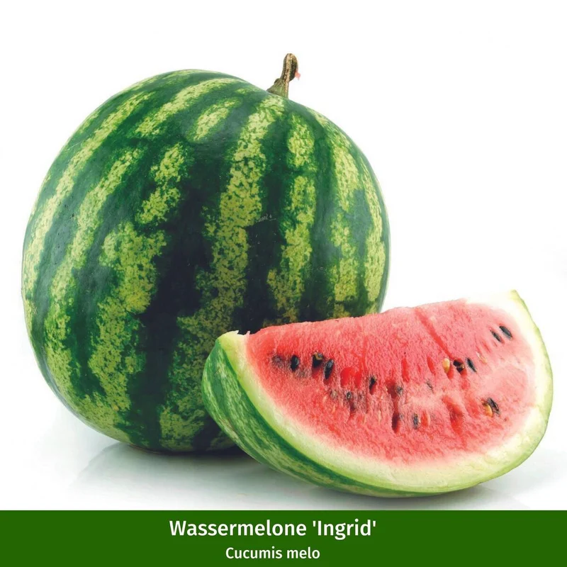 Melonen Variation