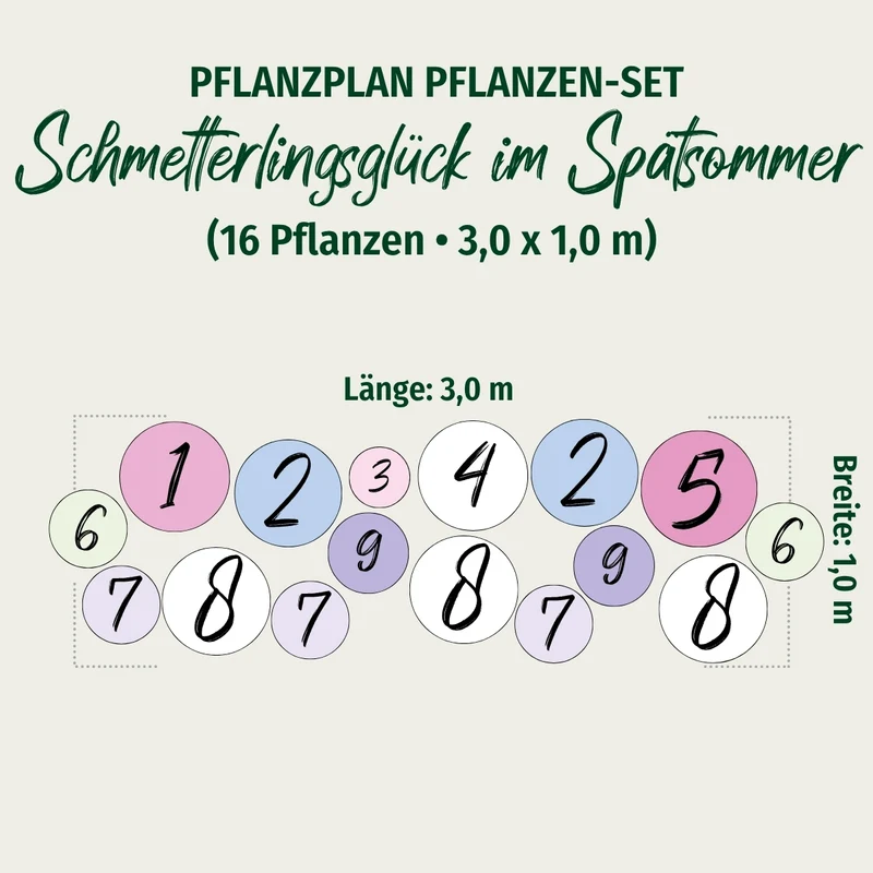 Staudenbeet "Schmetterlingsglück im Spätsommer"