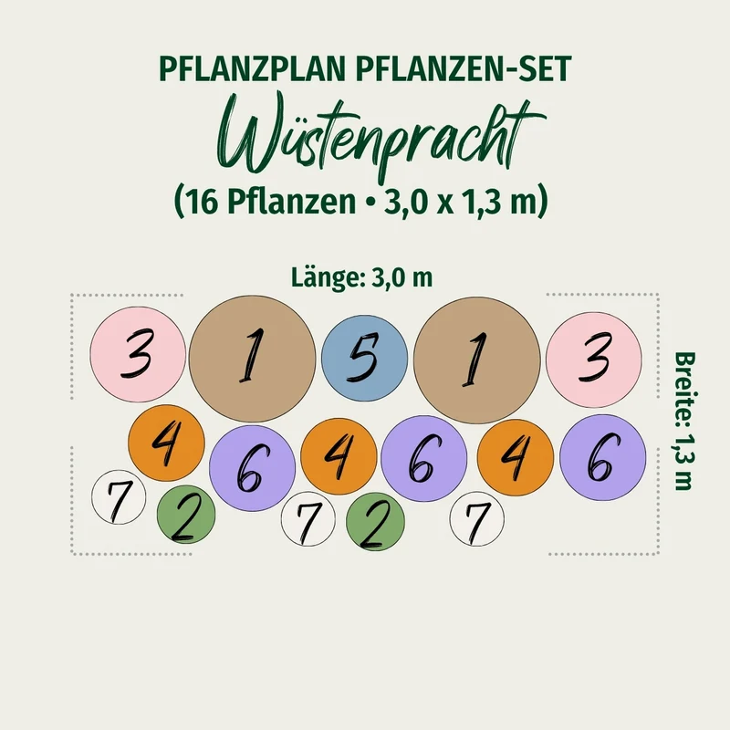 Gräser- und Staudenbeet "Wüstenpracht"