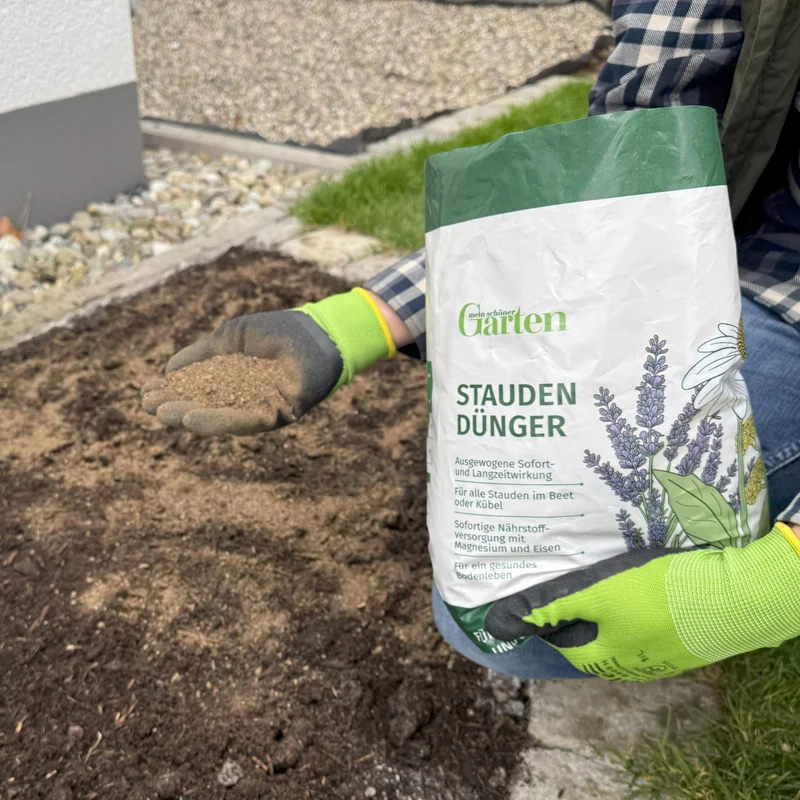 Mein schöner Garten Staudendünger